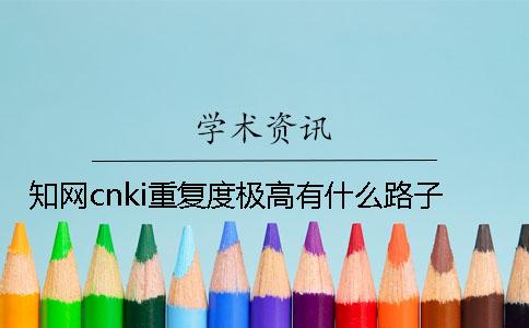 知网cnki重复度极高有什么路子