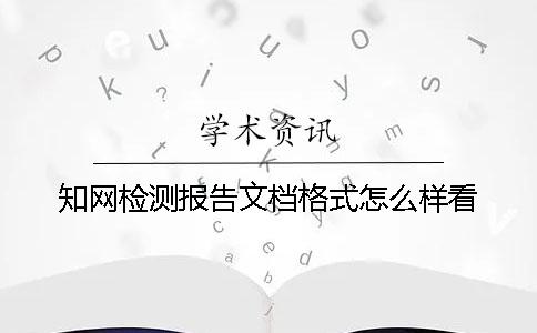 知网检测报告文档格式怎么样看