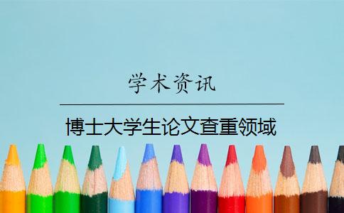 博士大学生论文查重领域