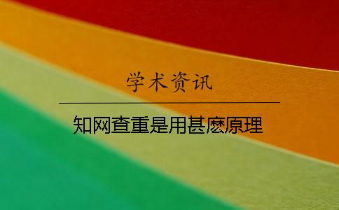 知网查重是用甚麽原理